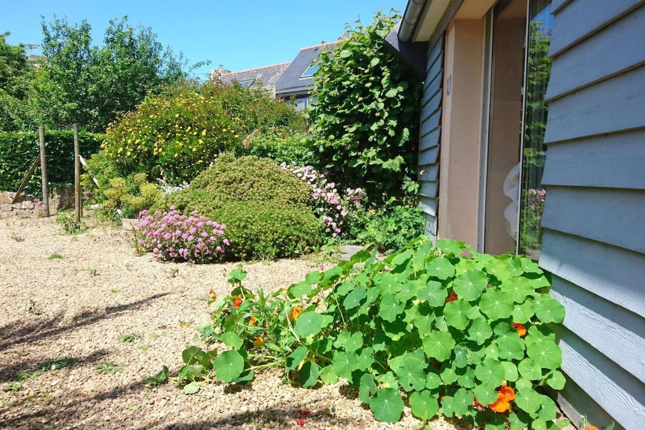 Le Petit Cottage Entre Village Et Mer Trélévern Buitenkant foto