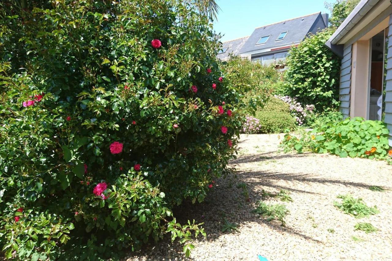 Le Petit Cottage Entre Village Et Mer Trélévern Buitenkant foto